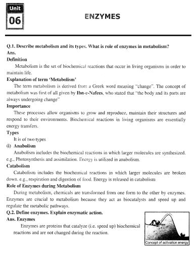 9th Class Biology (EM) Chap 6 (Enzymes) Notes PDF