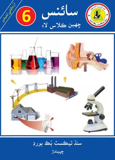 Sixth Class Science Sindhi Text Book PDF