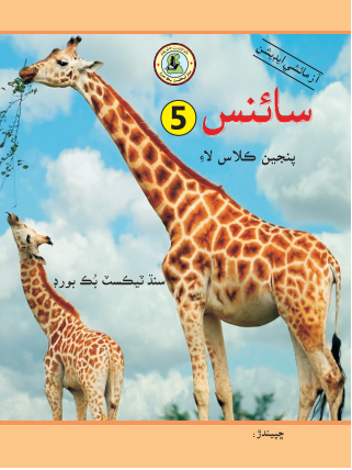 5th Class Science Sindhi Text Book PDF
