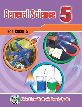 5th Class General Science (EM) BTBB Text Book PDF